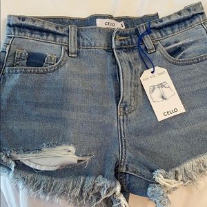 Cello jean shorts